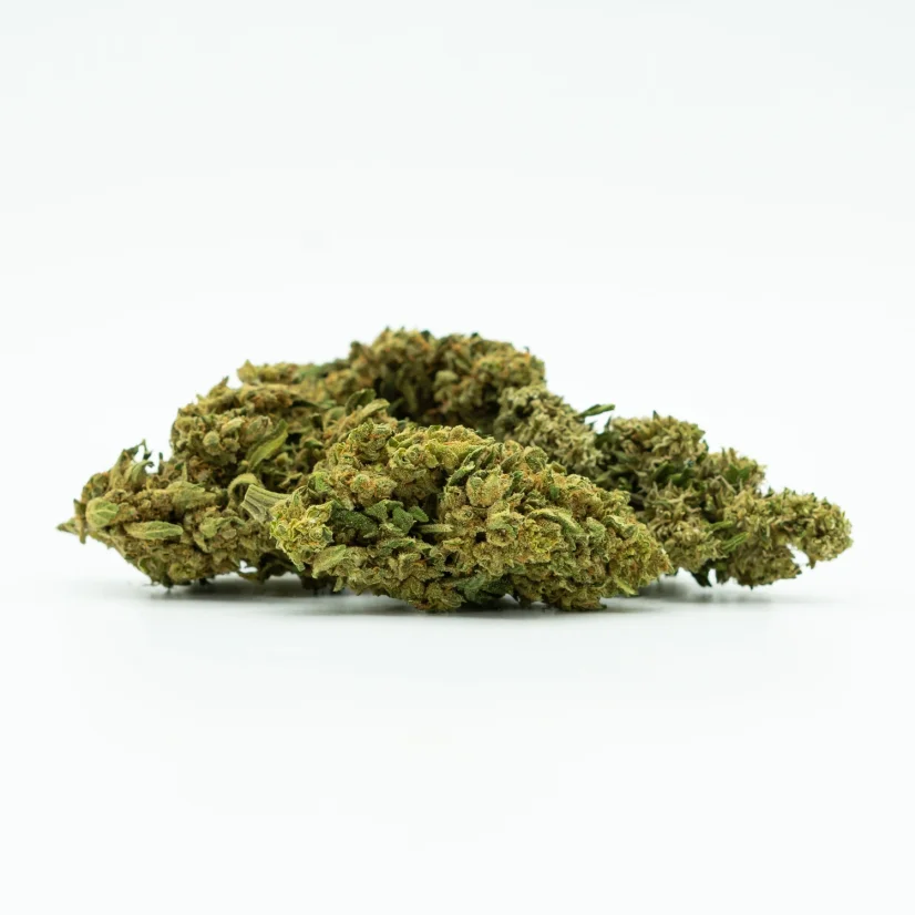 CBD Flower Sweet Mango 10 %, 1 g - 100 g