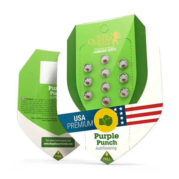 Royal Queen Seeds Cannabis Frø Purple Punch Auto