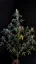 Fast Buds Cannabis Seeds BubbleGum Auto