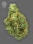 The Bulldog Seeds TB Wedding Cake Feminized, 3 un 5 gab.