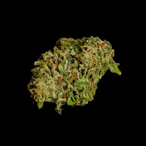 Royal Queen Seeds Cannabis Seeds Hyperion F1 Auto