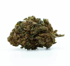 HHC Flower OG Kush 60%, 1g - 1000g