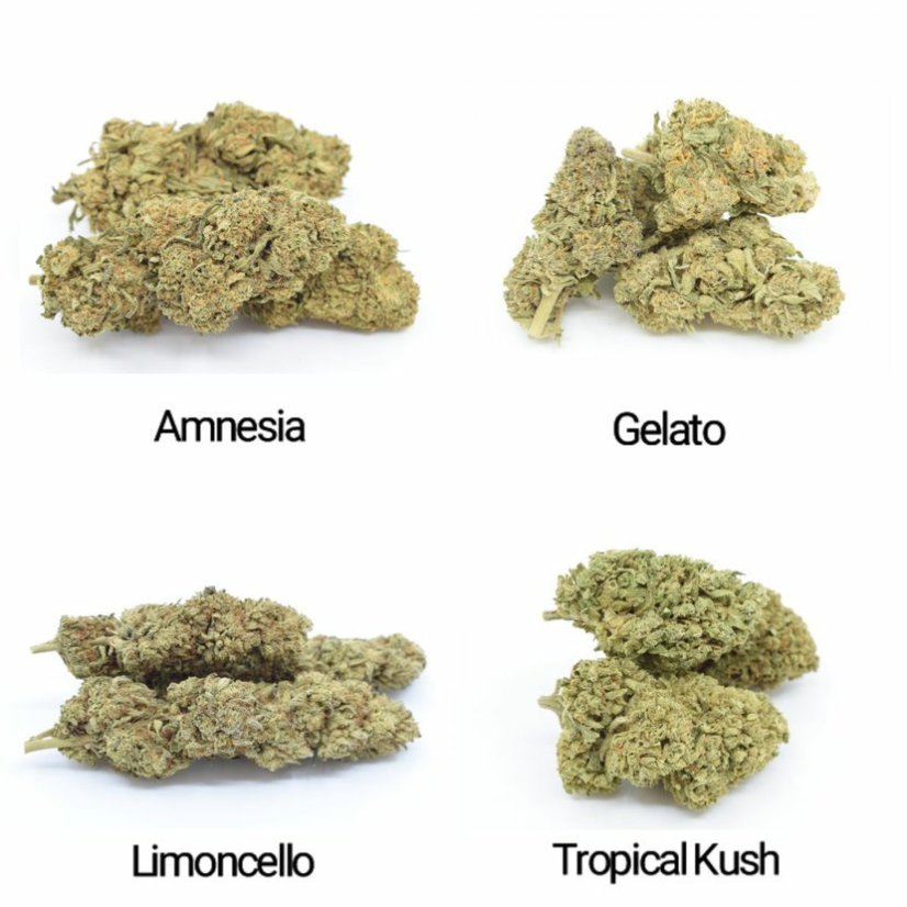 HHC gėlių mėginių rinkinys - Tropical Kush 10 %, Limoncello 20 %, Gelato 30 %, Amnesia 40 % - 4x1g