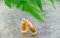 HHC oils and drops