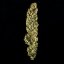 Royal Queen Seeds Cannabis Seeds Royal Jack Auto