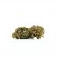 Canalogy HHC fiore Purple Queen 40 %, 1g - 100g