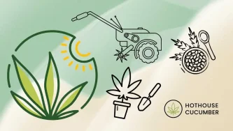 Ilustracyjna grafika przedstawiająca proces uprawy konopi przemysłowych, z logo HotHouseCucumber w lewym dolnym rogu