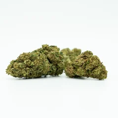 CBD Blomst Northern Light 11 %, 3 g - 100 g