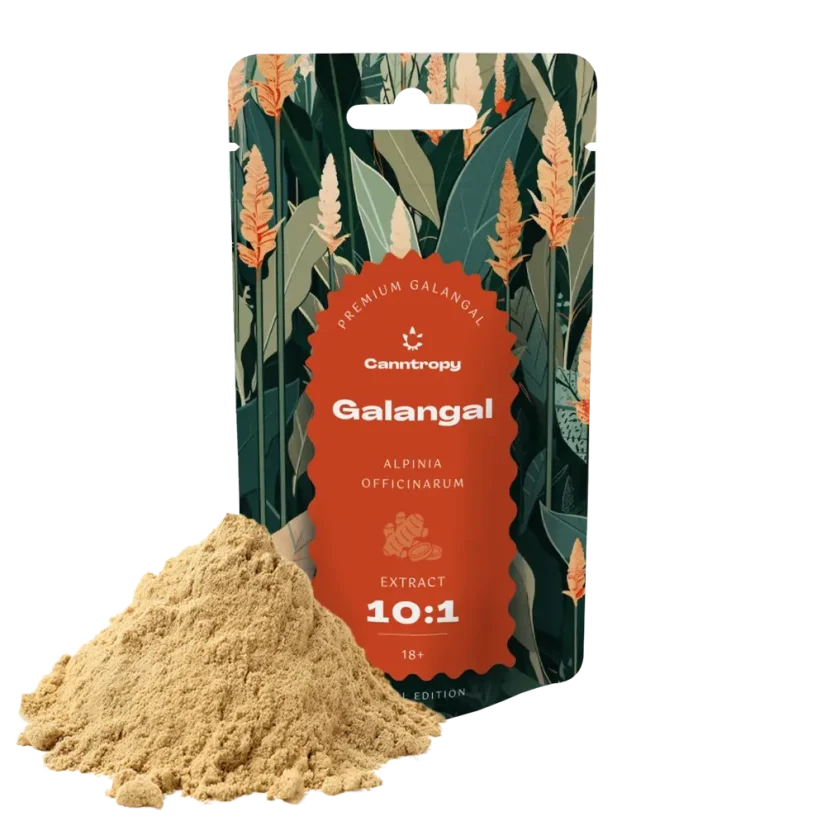 Canntropy Galangal (Alpinia officinarum), Extrakt 10:1, 10 - 100 g