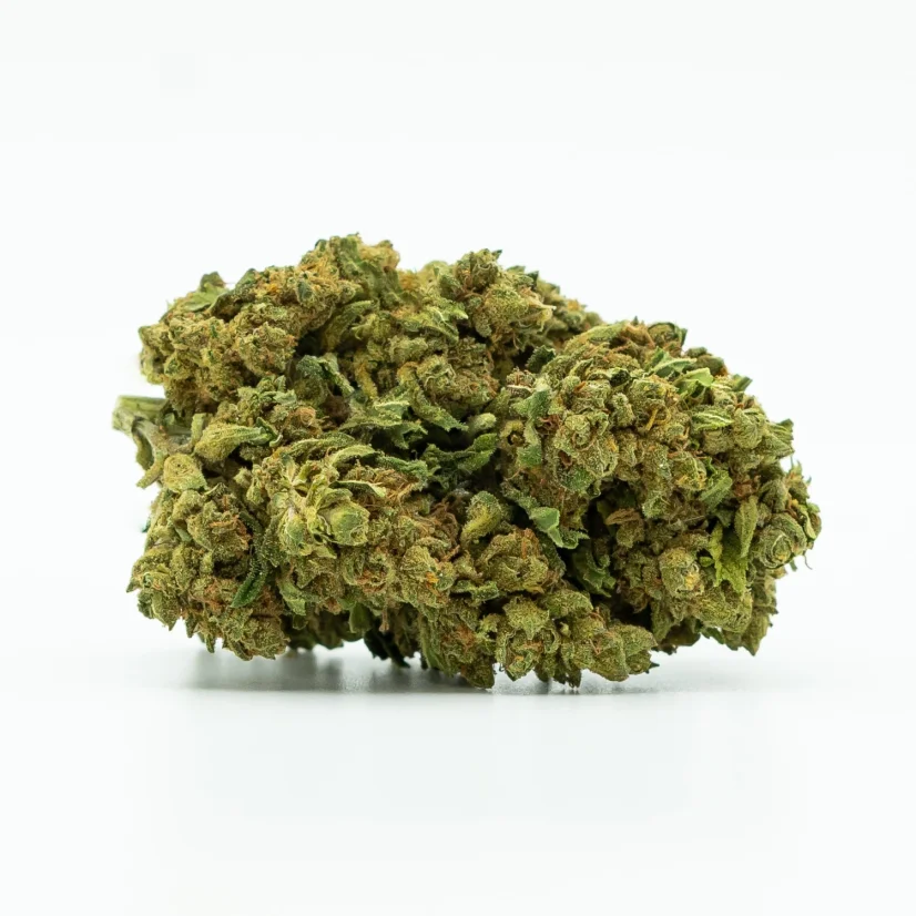 CBD Flower Sweet Mango 10 %, 1 g - 100 g