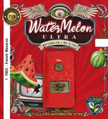 T.H.Seeds™ Cannabis Seeds WaterMelon Ultra, eri pakkauskokoja, feminisoitu