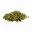 CBD Flower Orangello 12 %, 1 g - 100 g