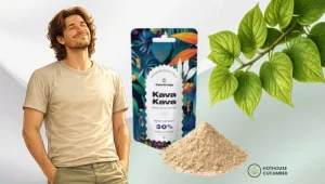 Zrelaksowana osoba po lewej, produkt z proszkiem Kava Kava pośrodku, gałązka Kava Kava w prawym górnym rogu, logo HotHouse w prawym dolnym rogu