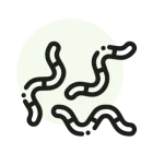 Gommes au CBG9