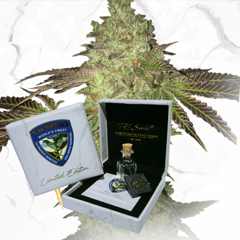T.H.Seeds™ Cannabis Seeds Limited Regular Edition Birthday Cake X Birthday Cake X SBC, 11er Pack