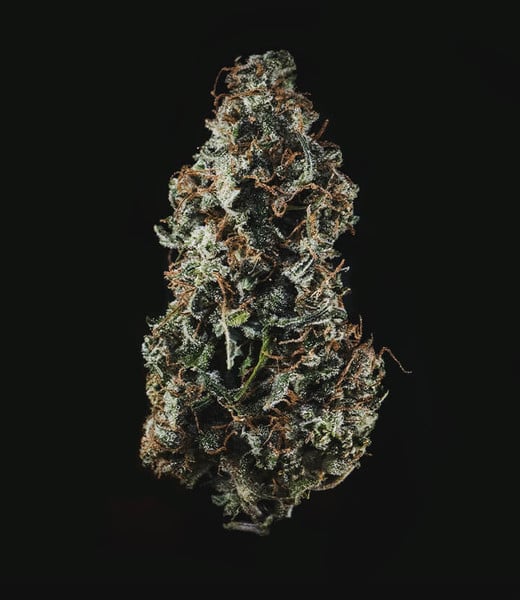 Royal Queen Seeds Σπόροι Κάνναβης Royal Haze Auto