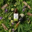Herbican CBD-Öl THC-frei, 30 %, 10 ml