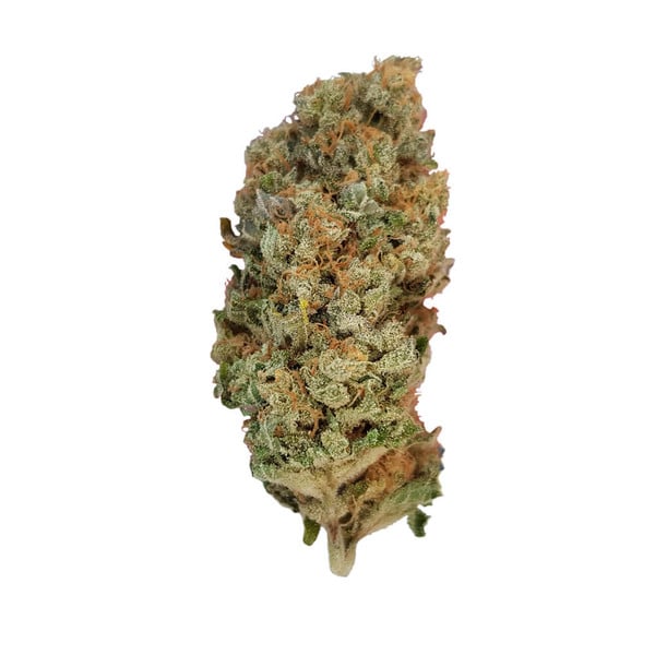 Феминизирани семена от канабис Royal Queen Seeds Special Queen #1
