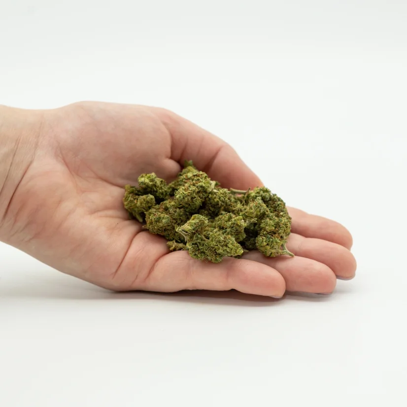 Herbican CBD Hemp Flower Amnesia, 5 g - 100 g
