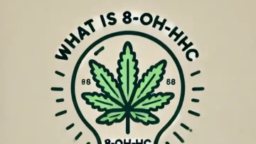 Żarówka i wewnątrz liścia konopi, tekst nad żarówką: What is 8-OH-HHC