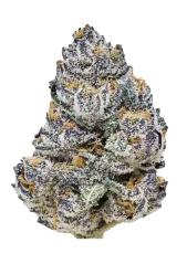 Fast Buds Kanepiseemned Rainbow Melon feminiseeritud