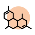CBDP