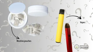 Nicotine vapes vs. pouches