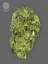 The Bulldog Seeds TB Sour Diesel Regular, 3 και 5 τεμ.