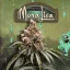 T.H.Seeds™ Cannabis Seeds Mona Lisa, pachet variat, feminizat