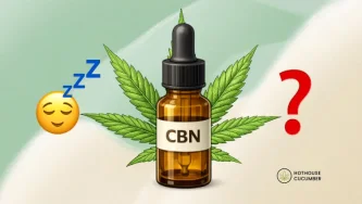 CBN oil bottle in front of a hemp leaf with sleep and question mark icons. CBN oil bottle in front of a hemp leaf with sleep and question mark icons.