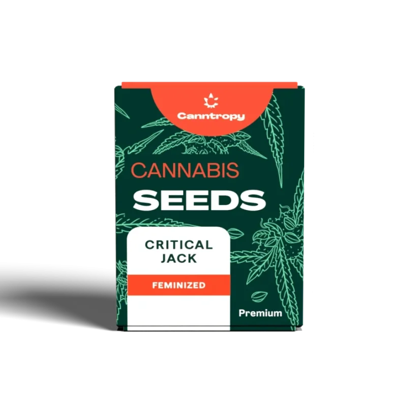 Canntropy Seeds Critical Jack (Feminized)