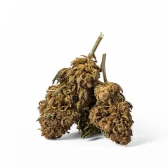 Euphoria CBD Weed Glass Avicenna, 100 g