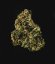 Royal Queen Seeds Cannabisfrön Royal Dwarf Auto