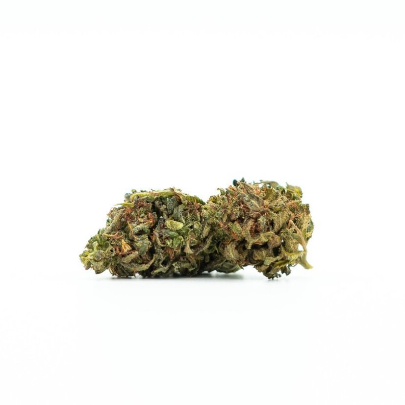 Canalogy HHC fiore Purple Queen 40 %, 1g - 100g