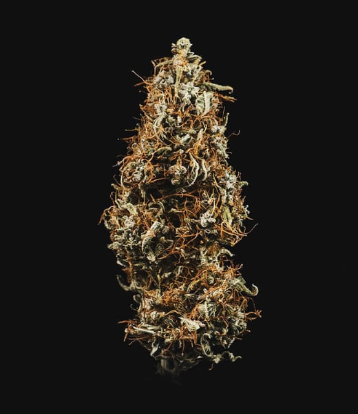 Royal Queen Seeds Cannabis Seeds Hulkberry Auto