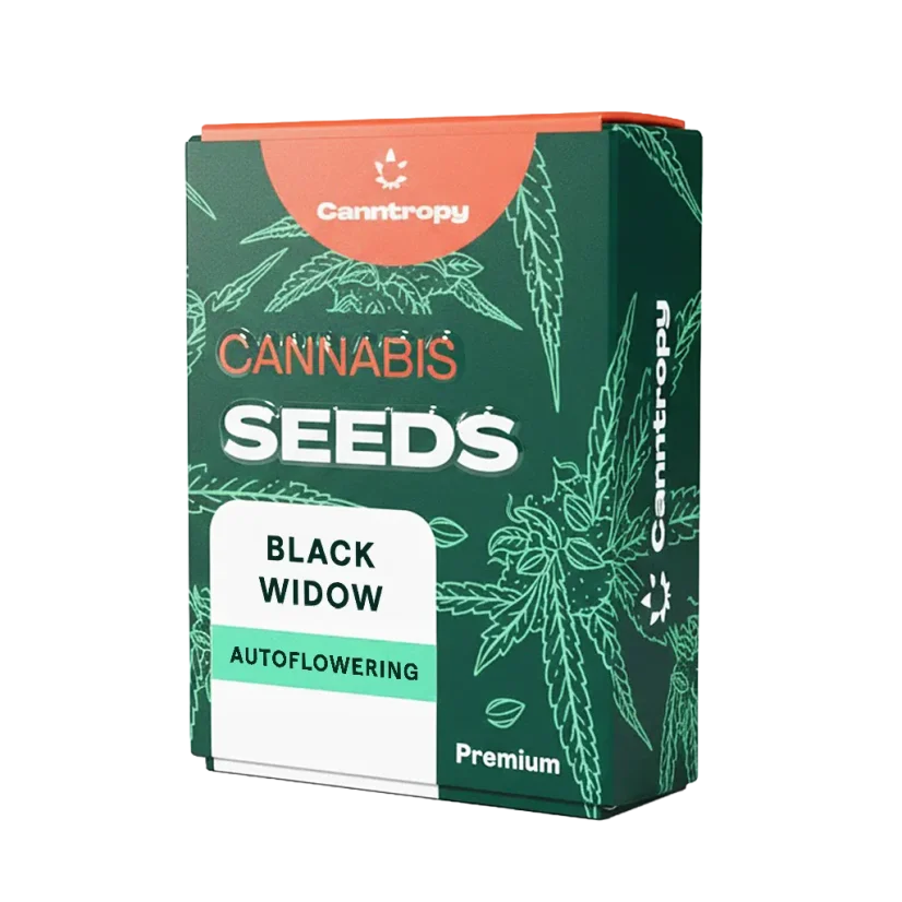 Canntropy Seeds Black Widow (Feminizirana)
