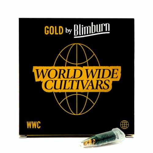 Blimburn Seeds Cannabis Seeds Bruce Banner Fast Blooming