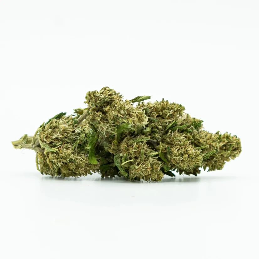 CBD Flower Sweet Mango 10 %, 1 g - 100 g