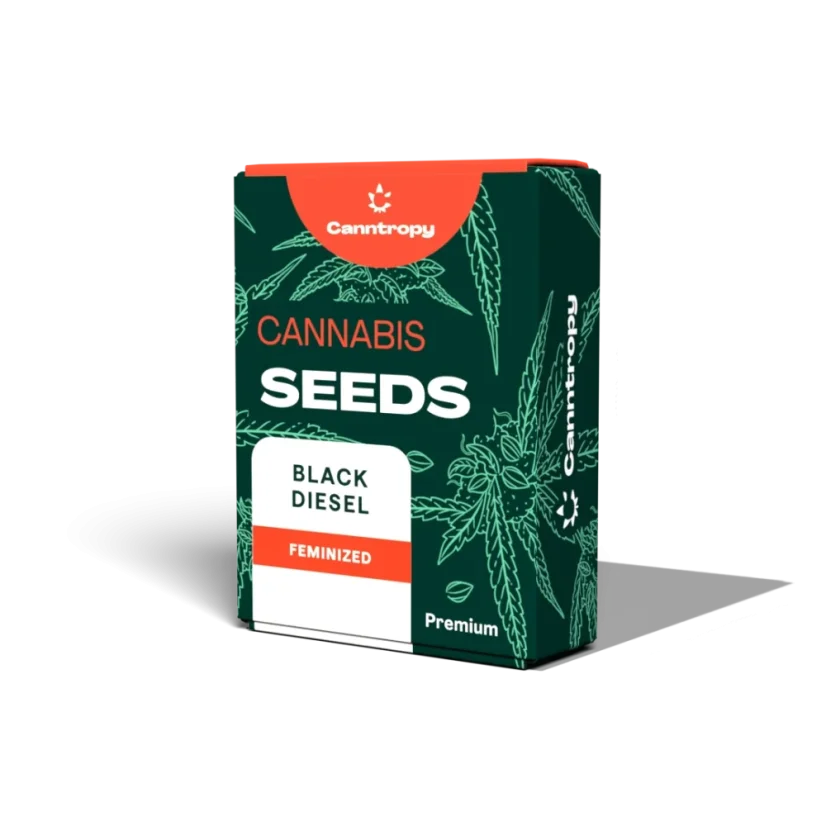 Canntropy Seeds Black Diesel (Feminized)