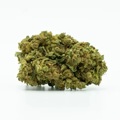 CBD Flower Sweet Mango 10 %, 1 g - 100 g