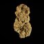 Royal Queen Seeds Cannabis Seeds Medusa F1 Auto