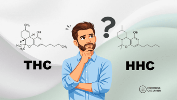 Chemical formula of THC and HHC, illustration of a man thinking, Hothouse Cucumber logo in the bottom right corner.