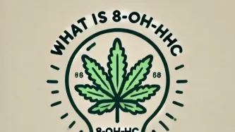 Żarówka i wewnątrz liścia konopi, tekst nad żarówką: What is 8-OH-HHC