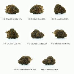 HHC-O Flowers Sample set - Wedding Cake 10 %, Jack Herer 20 %, Sour Diesel 30 %, Gorilla Glue 40 %, Sunset Sherbet 50 %, Purple Punch 60 %, Super Silver Haze 70 %, Trainwreck 80 % - 8 x 1 g
