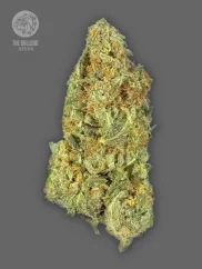 The Bulldog Seeds TB Gorilla Auto, 3 and 5 pcs