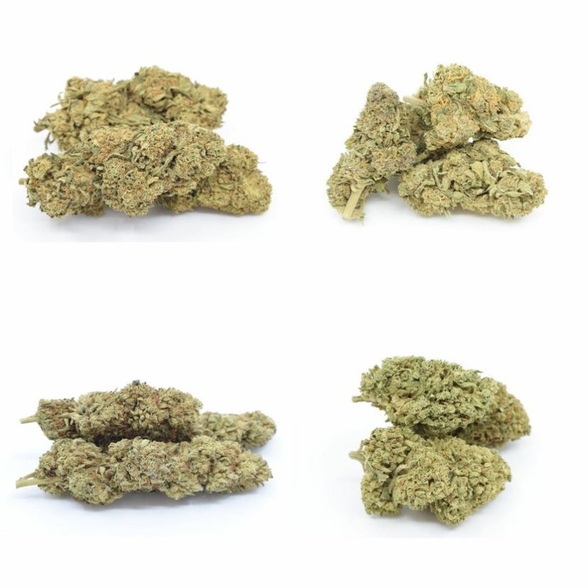 HHC gėlių mėginių rinkinys - Tropical Kush 10 %, Limoncello 20 %, Gelato 30 %, Amnesia 40 % - 4x1g