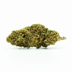 CBD Flower Orangello 12 %, 1 g - 100 g