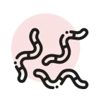 10-OH-HHCP Gummies