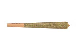 Cannabis joint