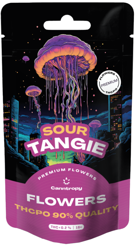 Canntropy THCPO Flower Sour Tangie, jakość THCPO 90%, 1g - 100g
